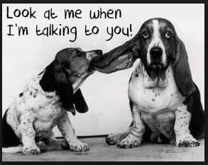 How to Listen Effectively